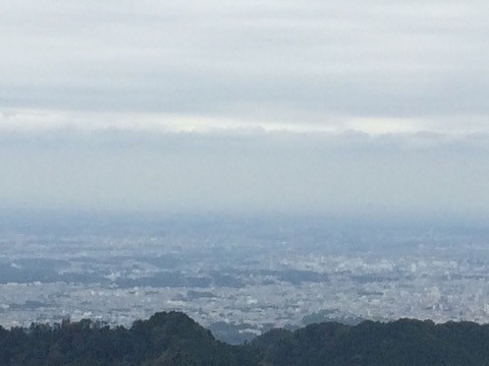 陣馬山から南高尾トレイルの写真3