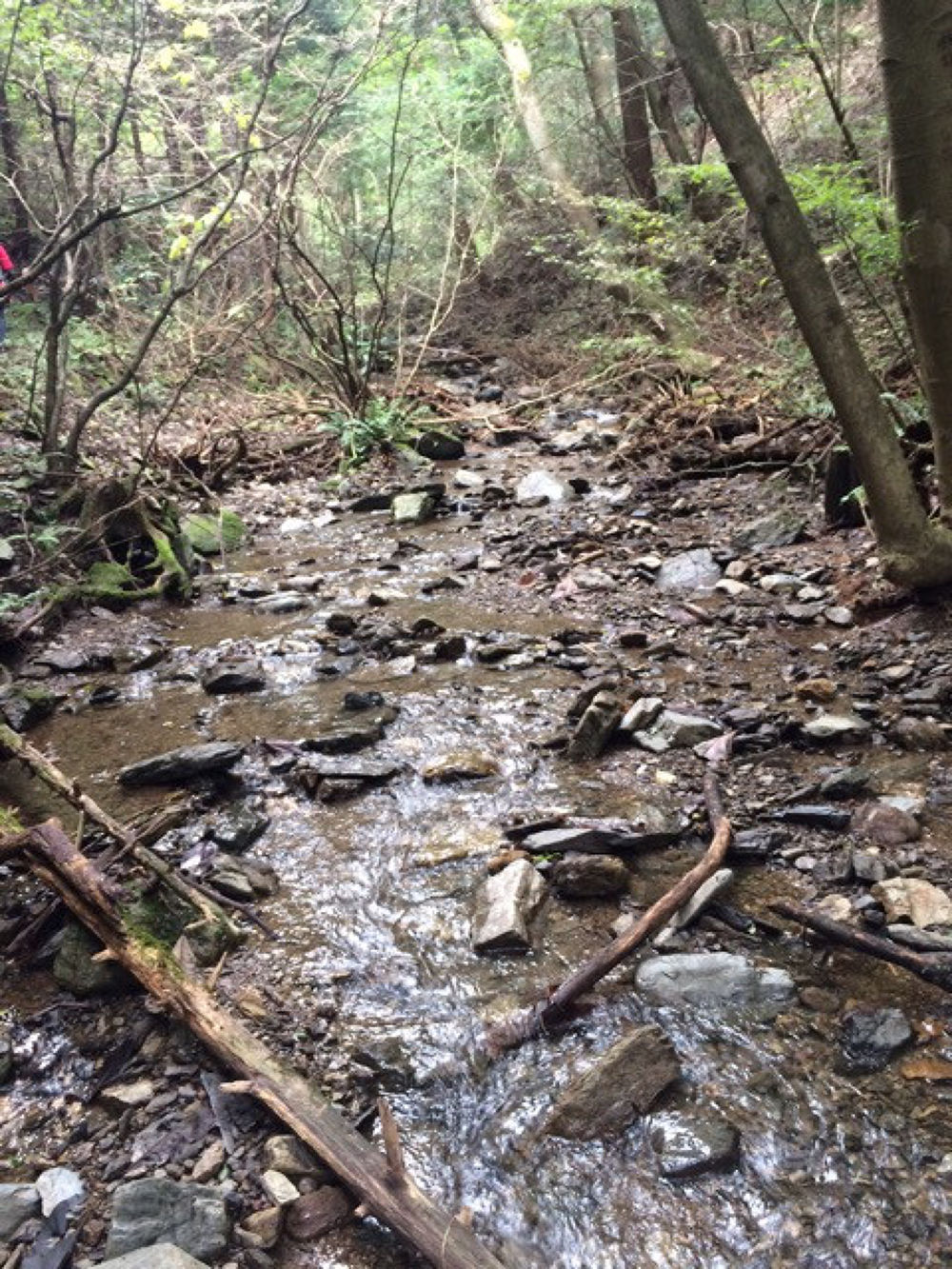 陣馬山から南高尾トレイルの写真5