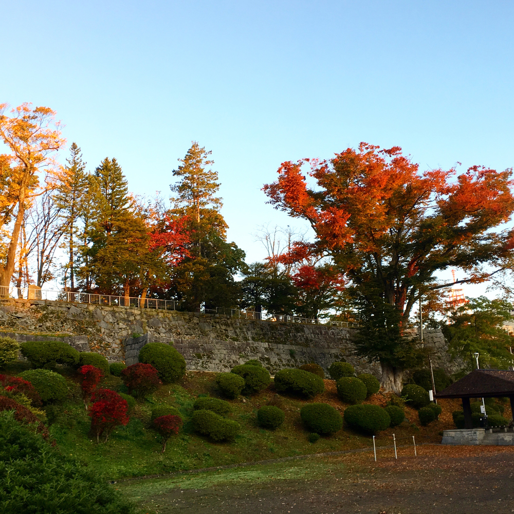 盛岡シティ名所ジョグの写真5