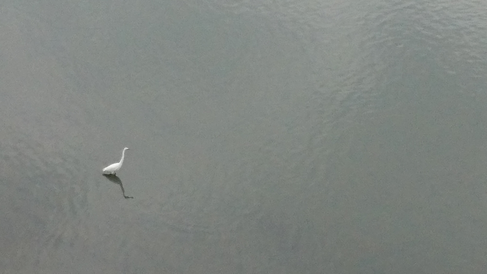 台北市の淡水川沿いに、今回は橋めぐり。の写真4