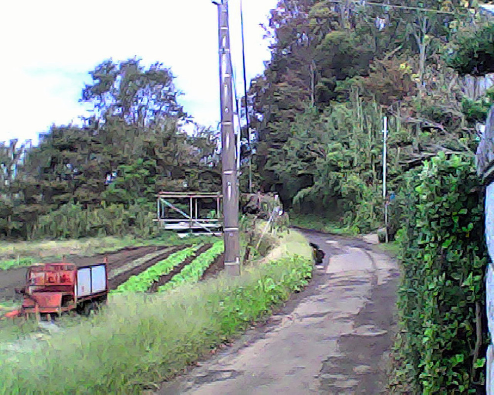 神奈川県立 茅ケ崎里山公園（ショートコース）の写真3