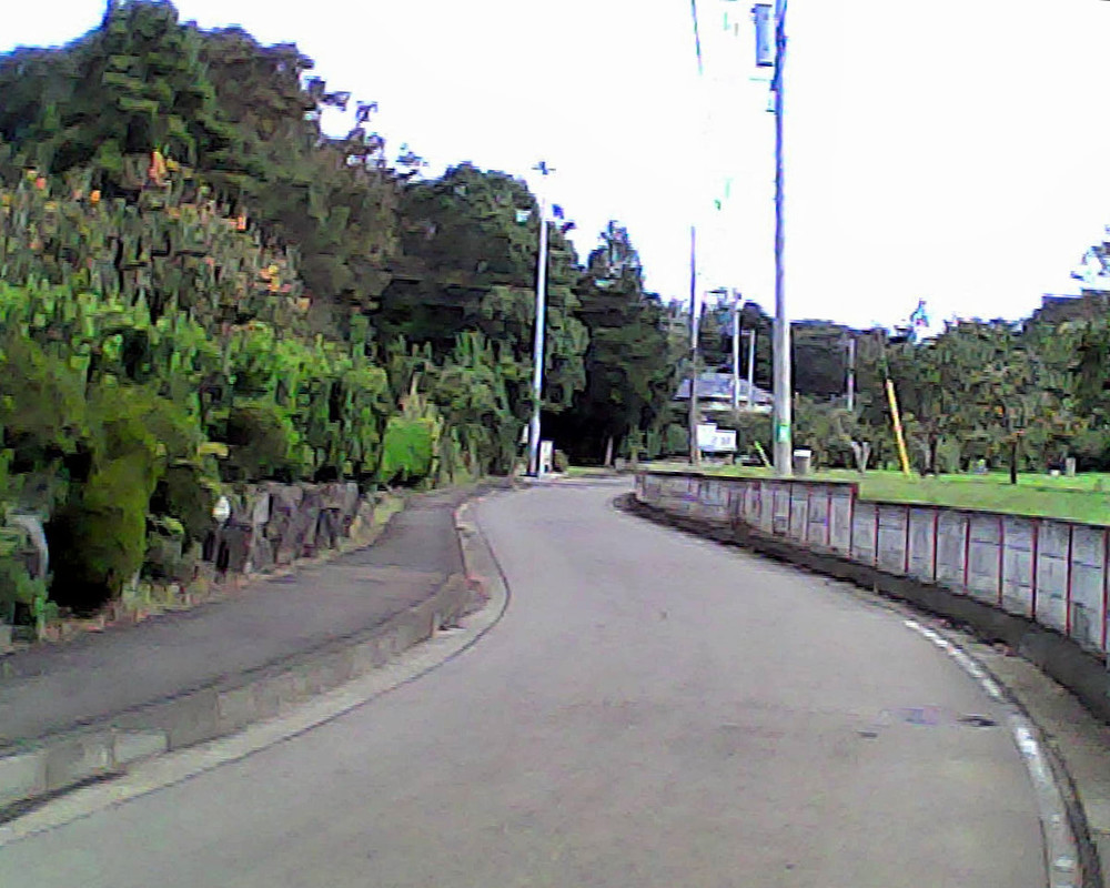 神奈川県立 茅ケ崎里山公園（ショートコース）の写真4