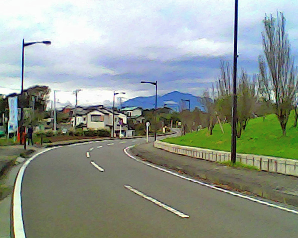 神奈川県立 茅ケ崎里山公園（ショートコース）の写真5