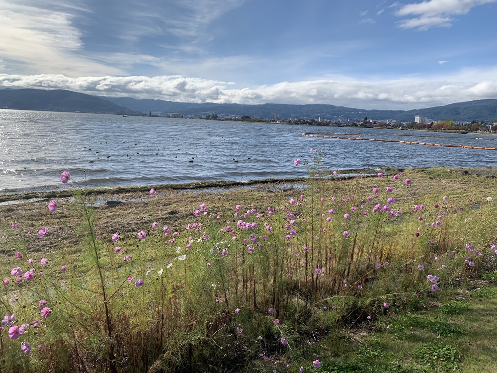 気持ちいいの写真3