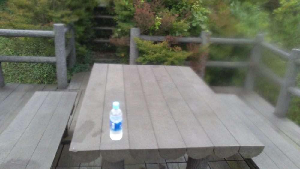 日和田山から鎌北湖の写真4