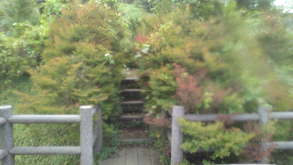 日和田山から鎌北湖の写真5