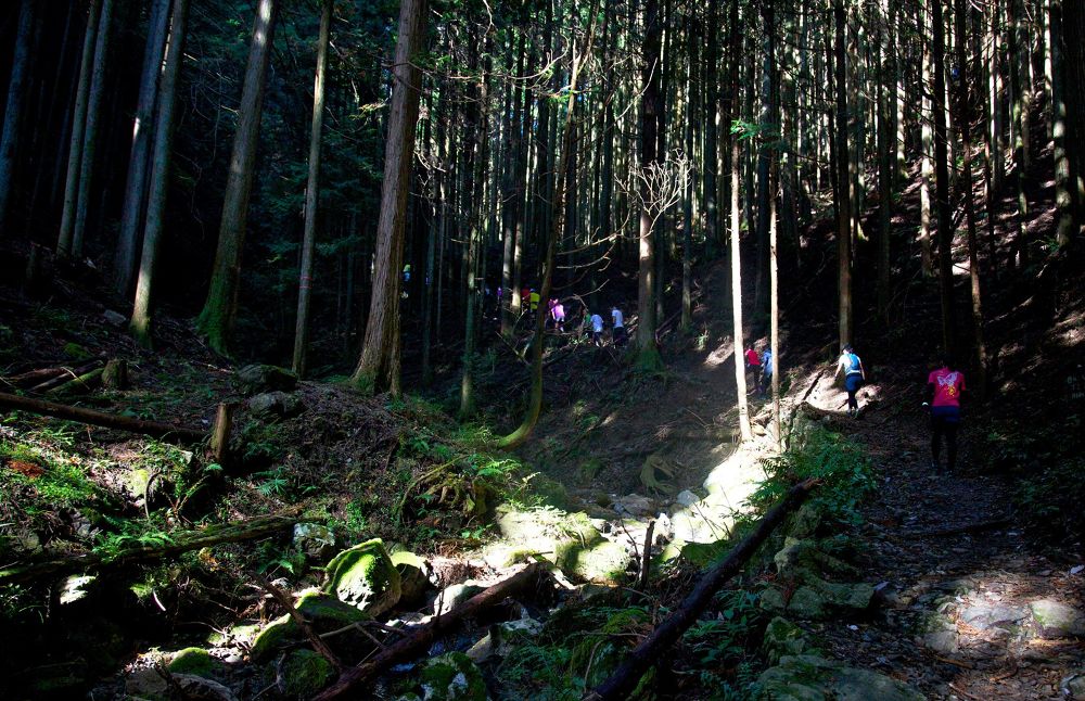 奥武蔵伊豆ヶ岳17kmトレイルコースの写真3