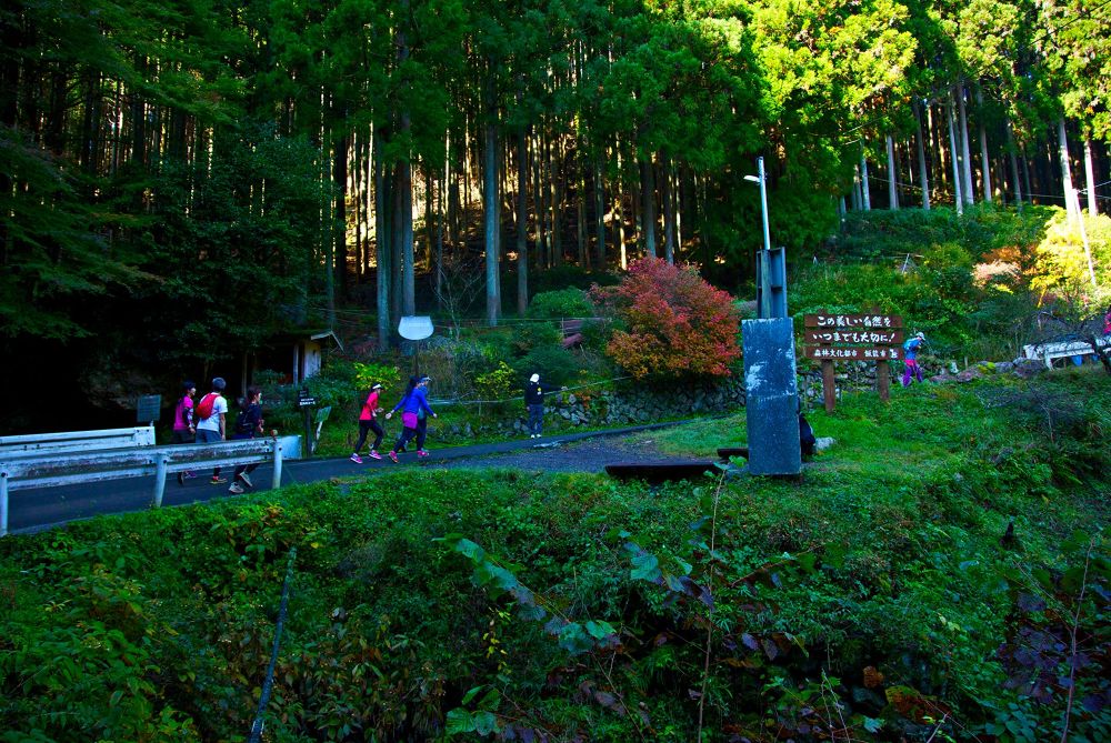 奥武蔵伊豆ヶ岳17kmトレイルコースの写真4