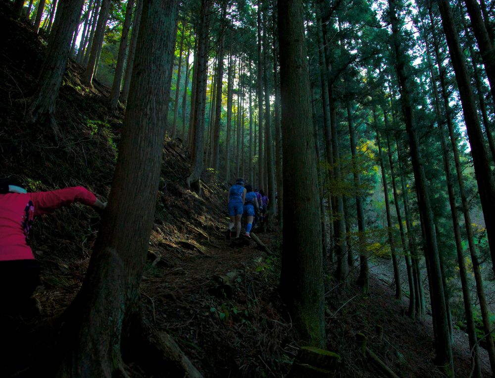 奥武蔵伊豆ヶ岳17kmトレイルコースの写真6