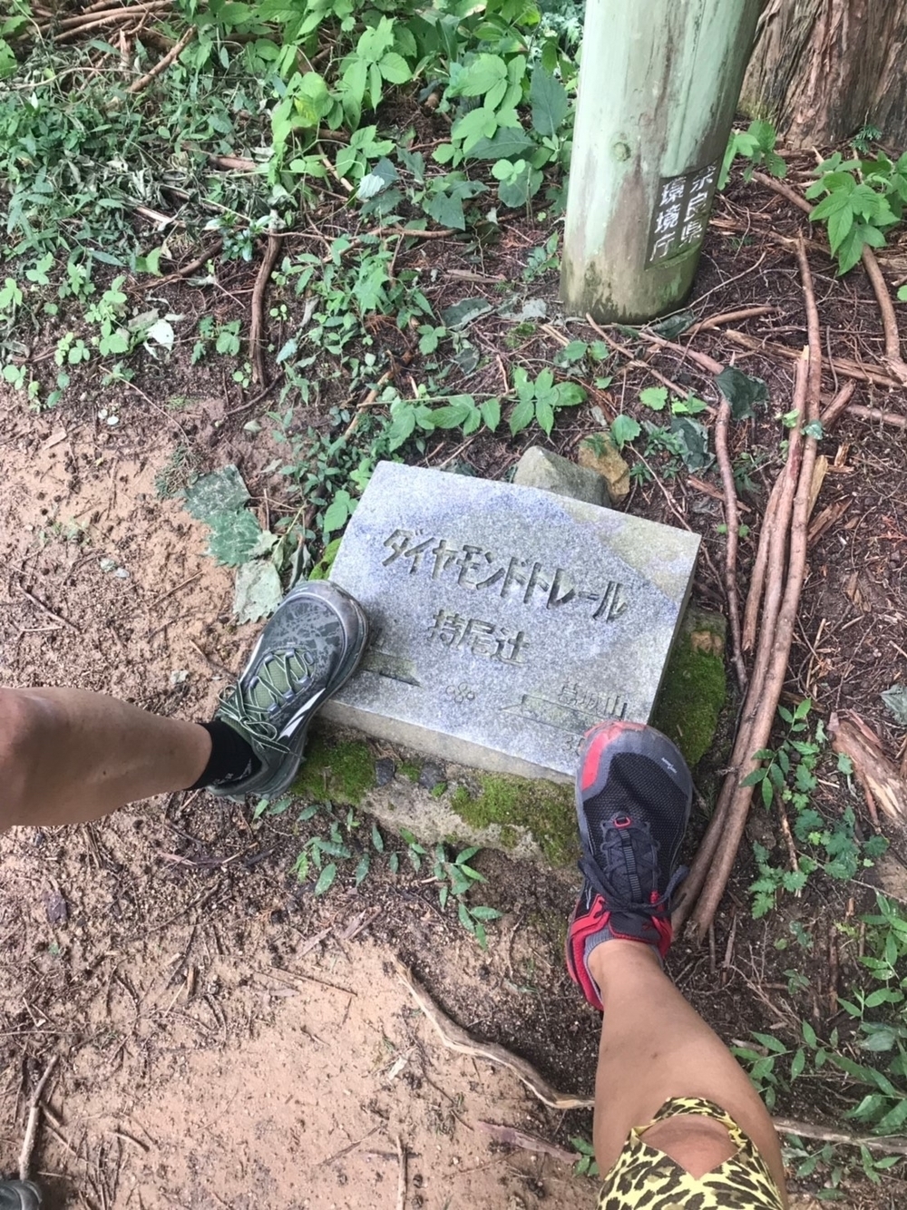 ダイヤモンドトレールの写真4