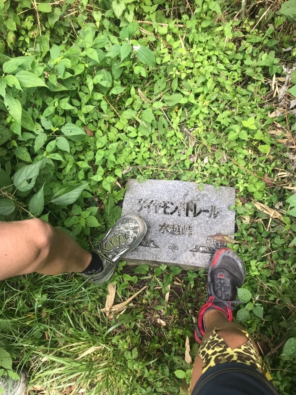 ダイヤモンドトレールの写真5