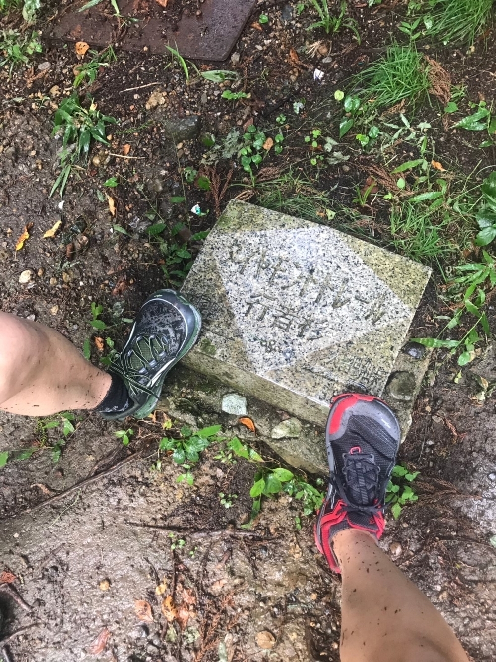 ダイヤモンドトレールの写真6