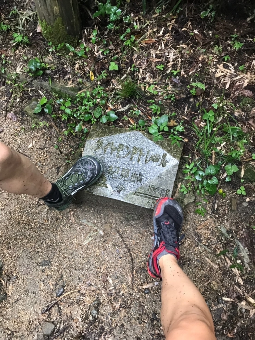 ダイヤモンドトレールの写真7