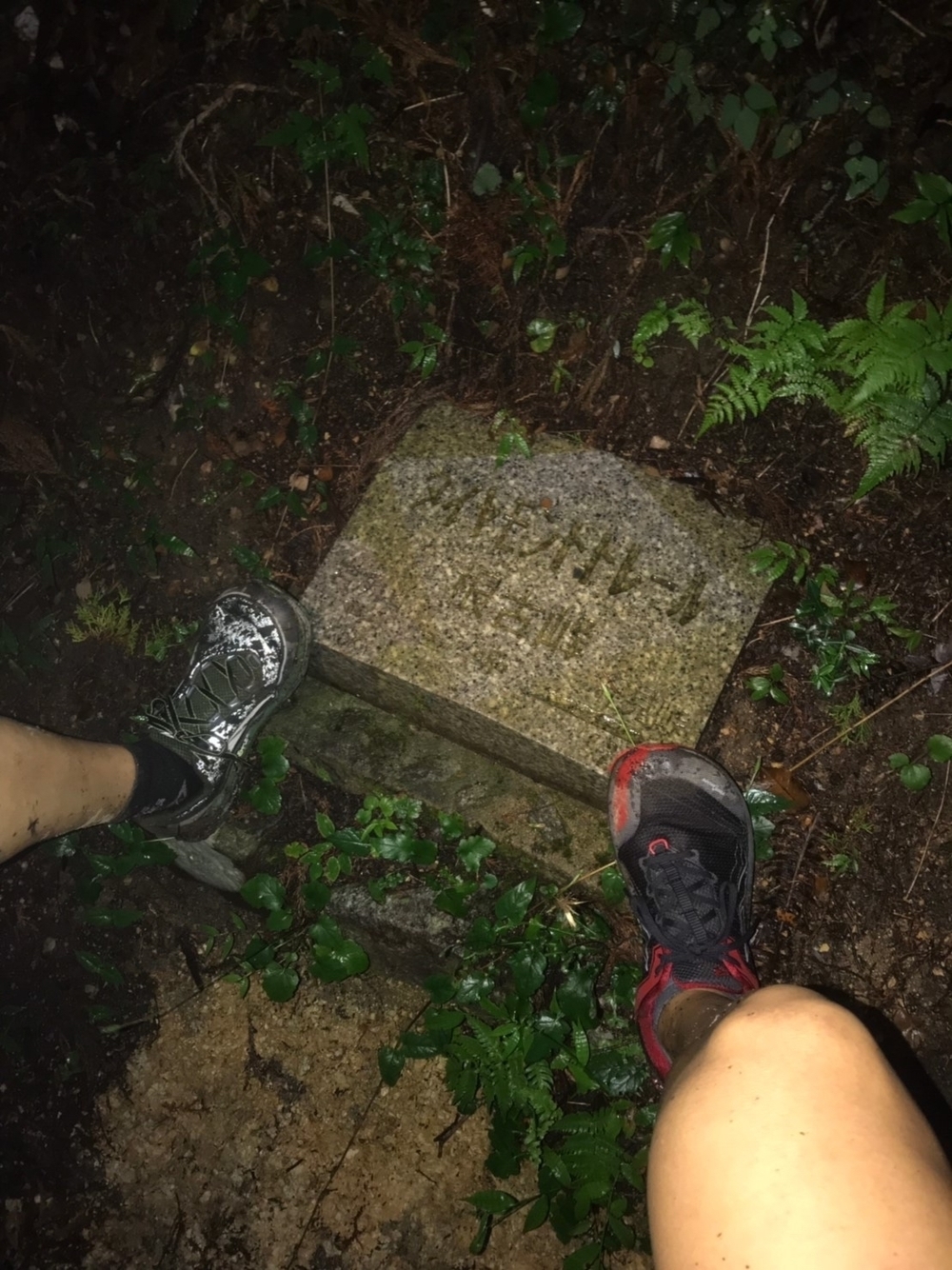 ダイヤモンドトレールの写真8