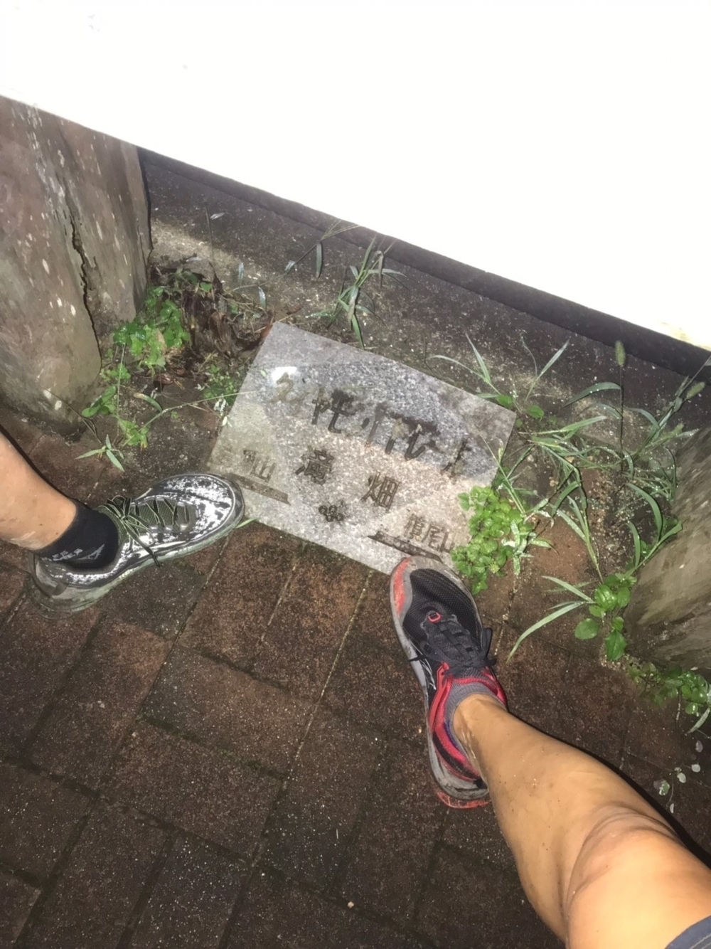 ダイヤモンドトレールの写真9