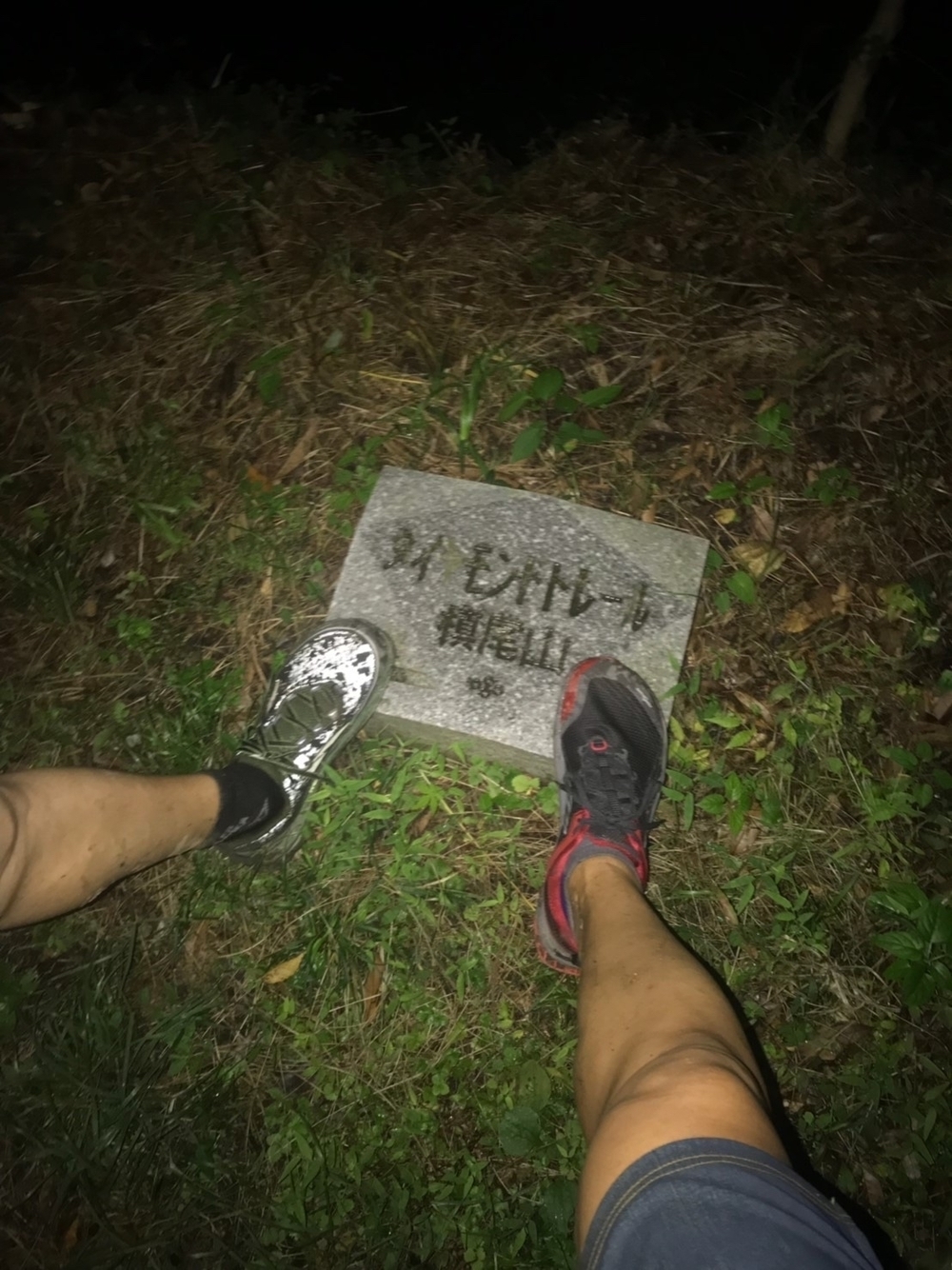 ダイヤモンドトレールの写真10