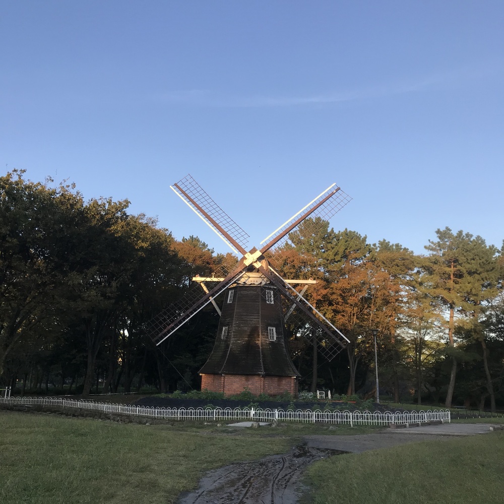 名古屋駅から名古屋城までの周回10キロの写真5