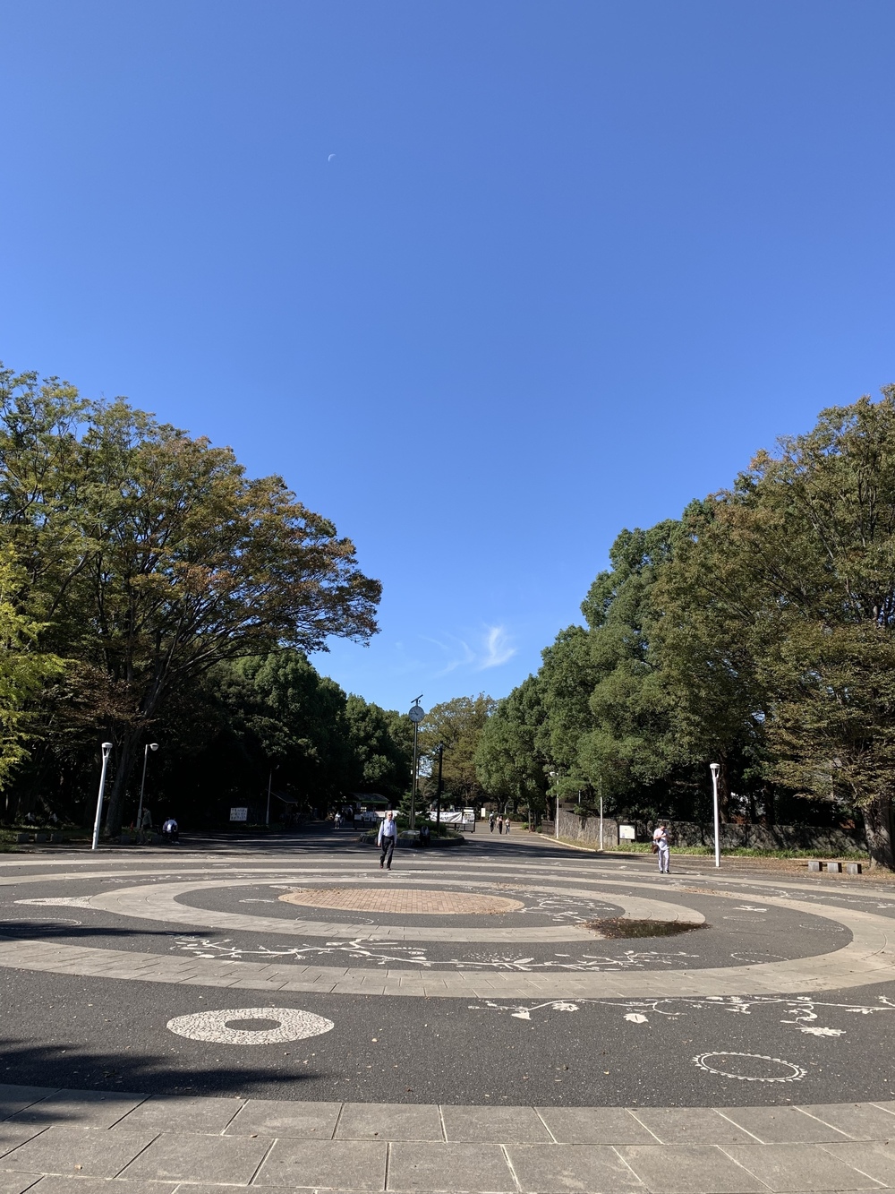 新宿スタートならこの辺を走ったら気持ち良いよ。の写真5