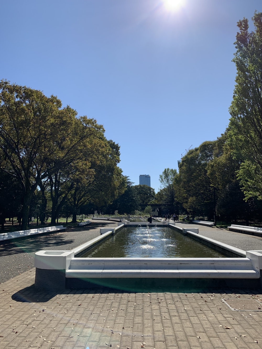 新宿スタートならこの辺を走ったら気持ち良いよ。の写真6