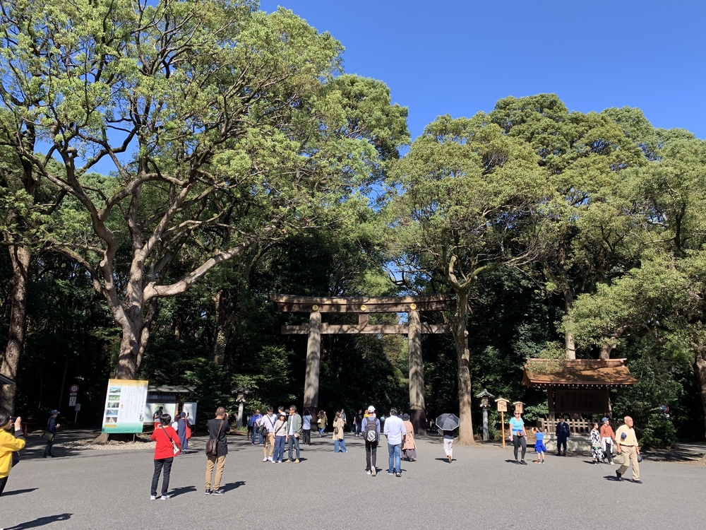 新宿スタートならこの辺を走ったら気持ち良いよ。の写真7