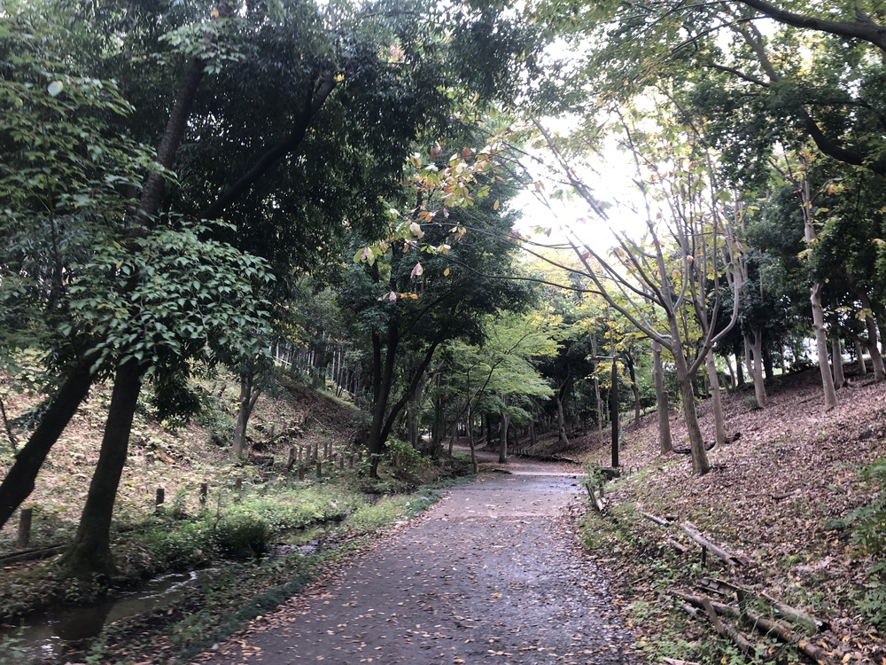 横浜市港北NT緑道ぐるっと21キロの写真6