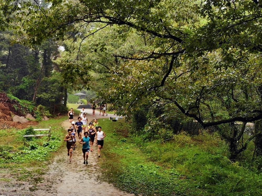 三木ホースランドパークのクロカンコースの写真4