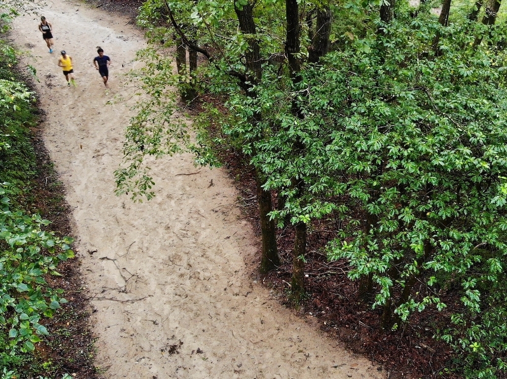 三木ホースランドパークのクロカンコースの写真5