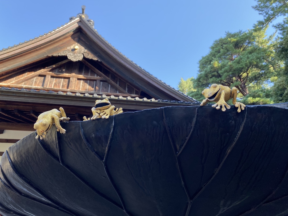 金沢駅前から尾山神社・21世紀美術館・鈴木大拙館・兼六園・石浦神社をめぐるの写真3