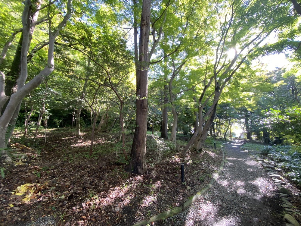 金沢駅前から尾山神社・21世紀美術館・鈴木大拙館・兼六園・石浦神社をめぐるの写真5