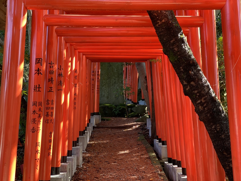 金沢駅前から尾山神社・21世紀美術館・鈴木大拙館・兼六園・石浦神社をめぐるの写真7