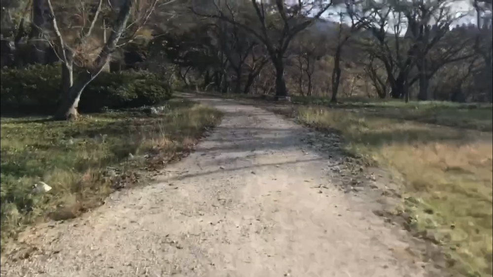 難攻不落の山城！『月山富田城』チカラ攻め！の写真6