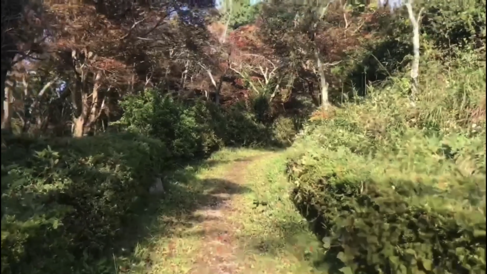 難攻不落の山城！『月山富田城』チカラ攻め！の写真9