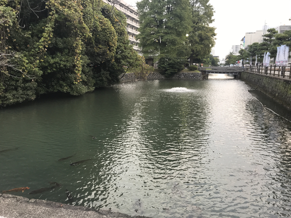 さくっと高知パワースポット巡りランの写真3