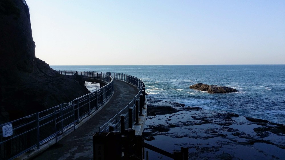 【出張朝ラン】藤沢→江ノ島ぐるり一周ランの写真7