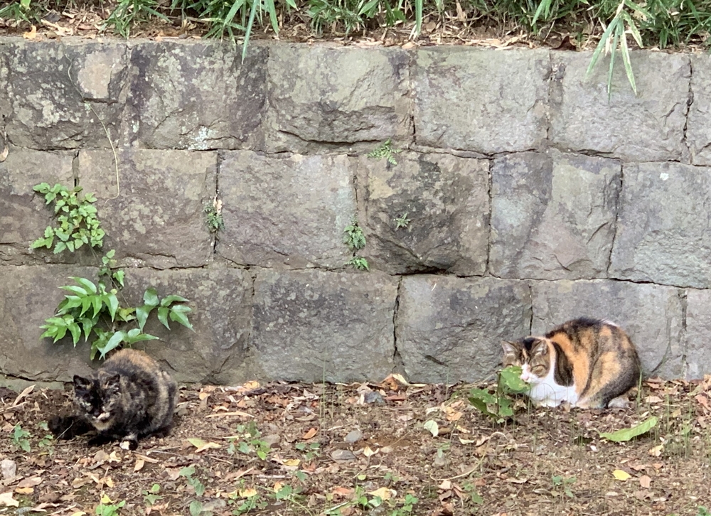 Endless Up & Down。の写真3