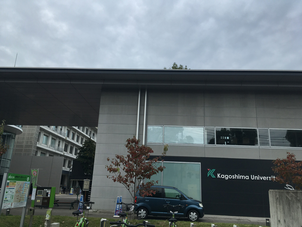 桜島を見ながら海の上の道を走る♫〜鹿児島出張ランにおすすめ〜の写真11