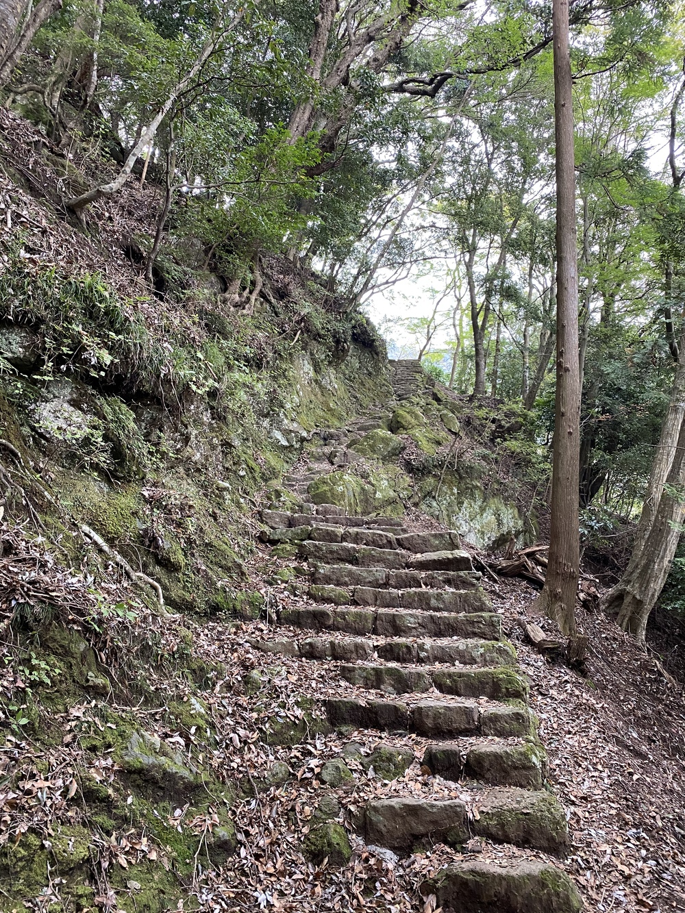 大山詣り＋トレラントレーニングの写真6