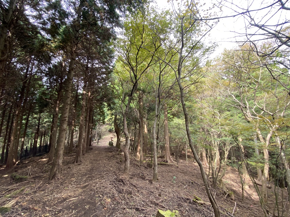 大山詣り＋トレラントレーニングの写真13