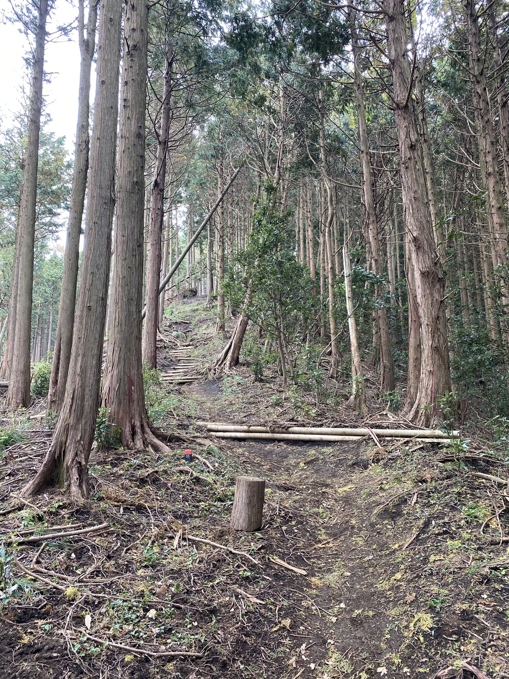 大山詣り＋トレラントレーニングの写真14