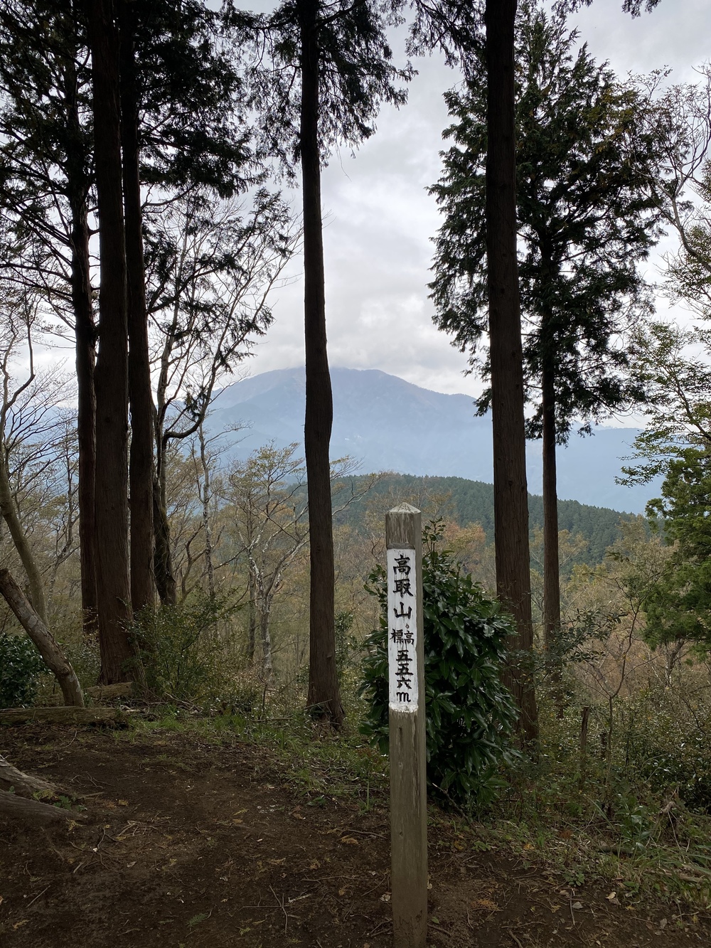 大山詣り＋トレラントレーニングの写真15