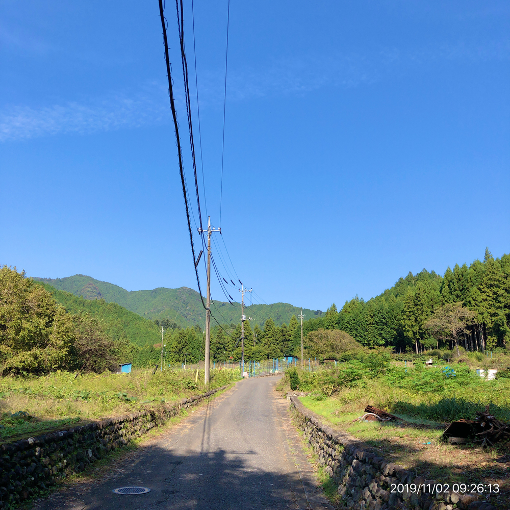 秋川渓谷Run&Trail(武蔵五日市駅→秋川渓谷→林道星竹線→南沢間伐作業道→武蔵五日市駅)の写真3