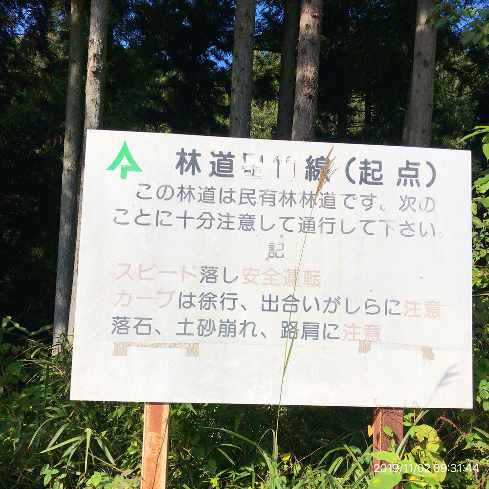 秋川渓谷Run&Trail(武蔵五日市駅→秋川渓谷→林道星竹線→南沢間伐作業道→武蔵五日市駅)の写真4