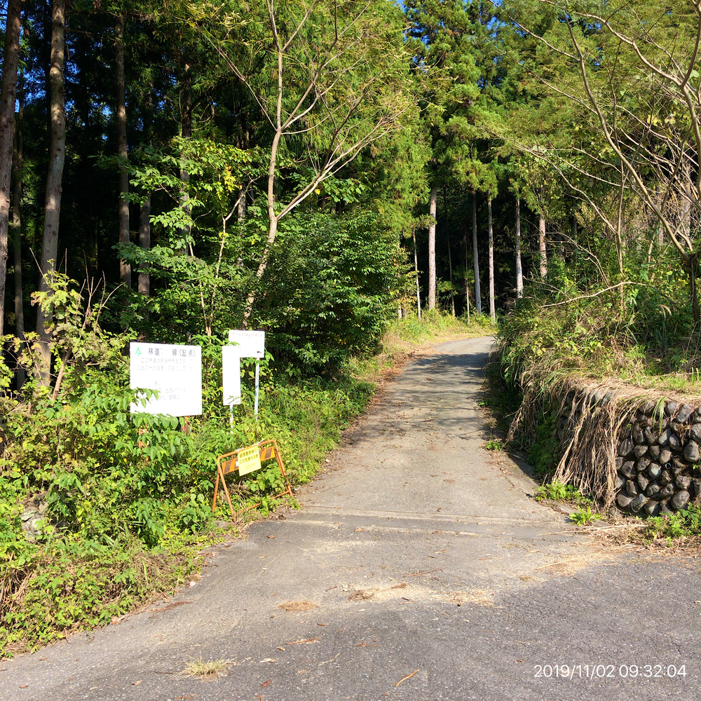 秋川渓谷Run&Trail(武蔵五日市駅→秋川渓谷→林道星竹線→南沢間伐作業道→武蔵五日市駅)の写真5