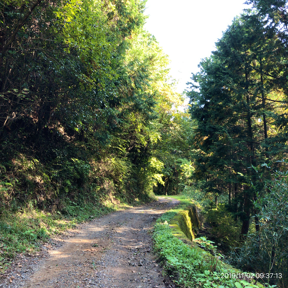 秋川渓谷Run&Trail(武蔵五日市駅→秋川渓谷→林道星竹線→南沢間伐作業道→武蔵五日市駅)の写真6