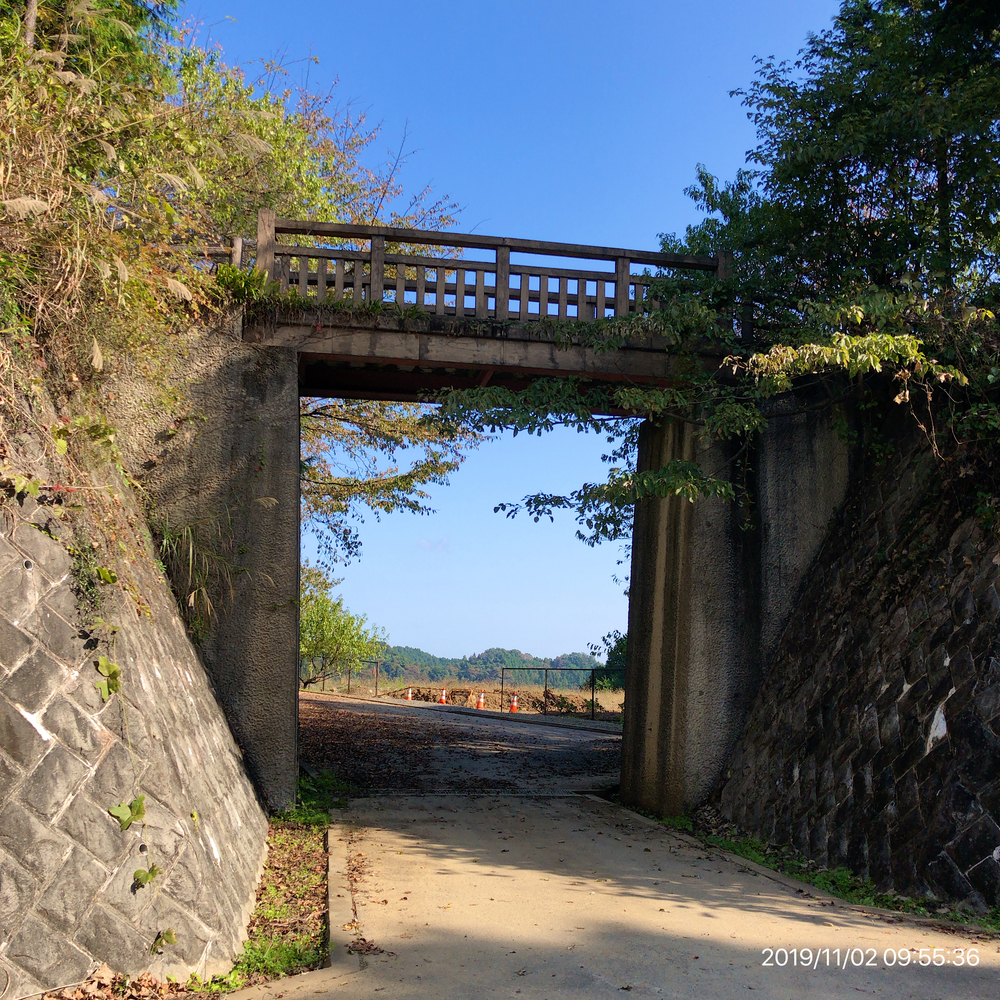 秋川渓谷Run&Trail(武蔵五日市駅→秋川渓谷→林道星竹線→南沢間伐作業道→武蔵五日市駅)の写真8