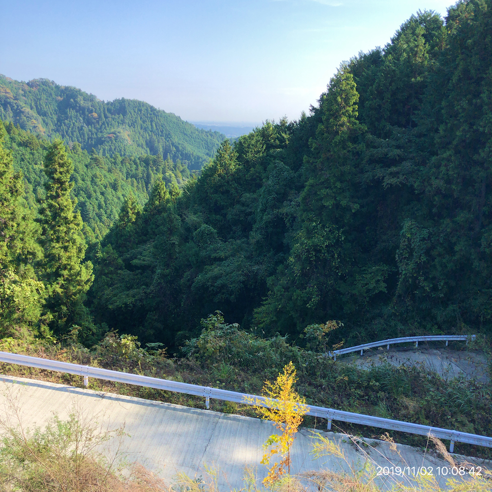 秋川渓谷Run&Trail(武蔵五日市駅→秋川渓谷→林道星竹線→南沢間伐作業道→武蔵五日市駅)の写真9