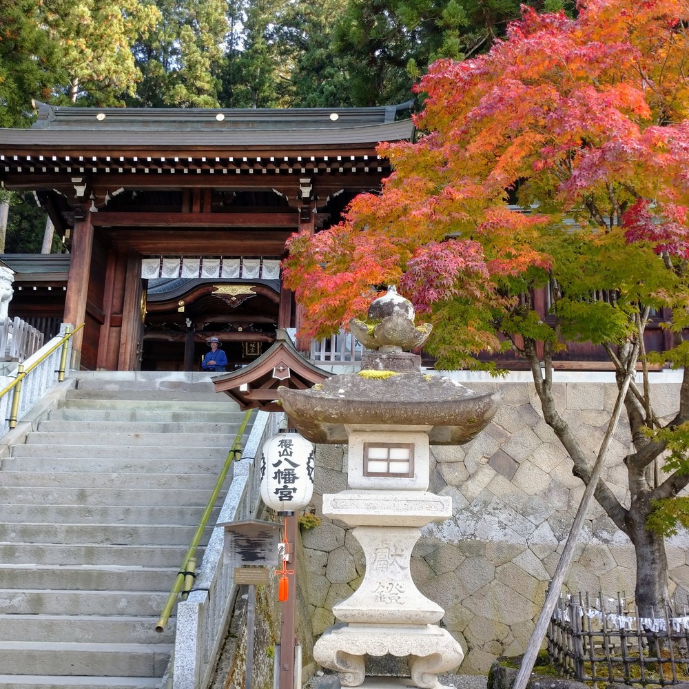 高山市内ラン・温泉・ランチの写真3