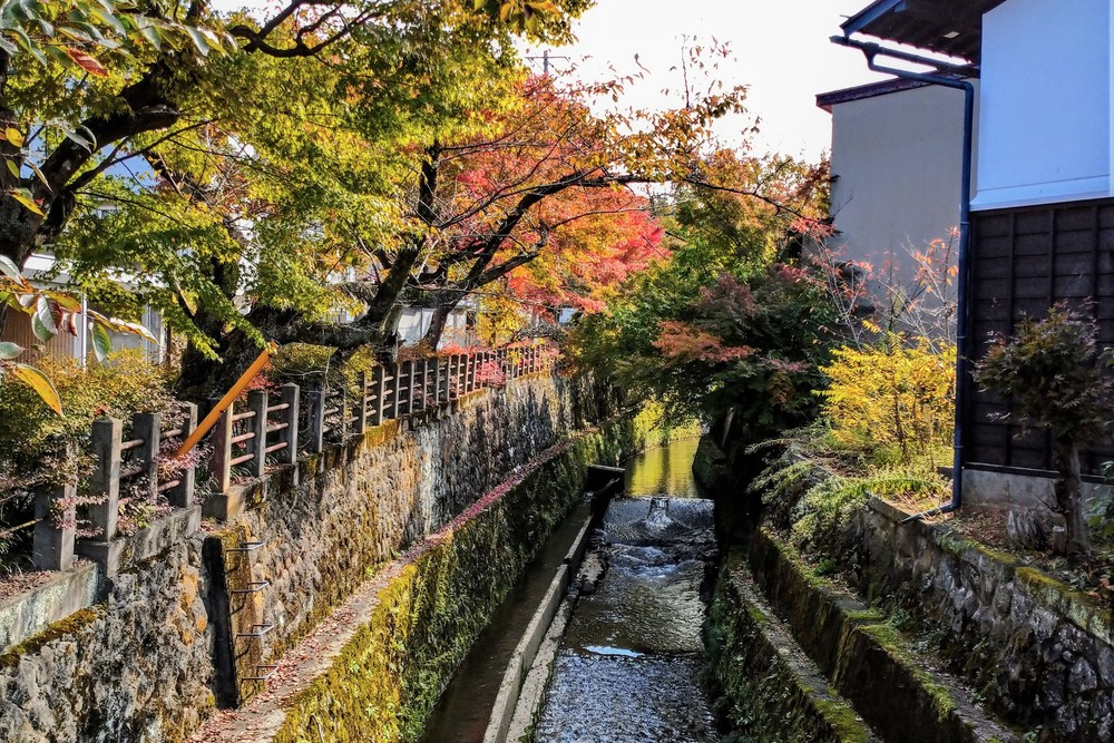 高山市内ラン・温泉・ランチの写真4