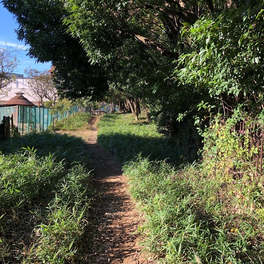 神奈川県立四季の森公園周遊コースの写真3