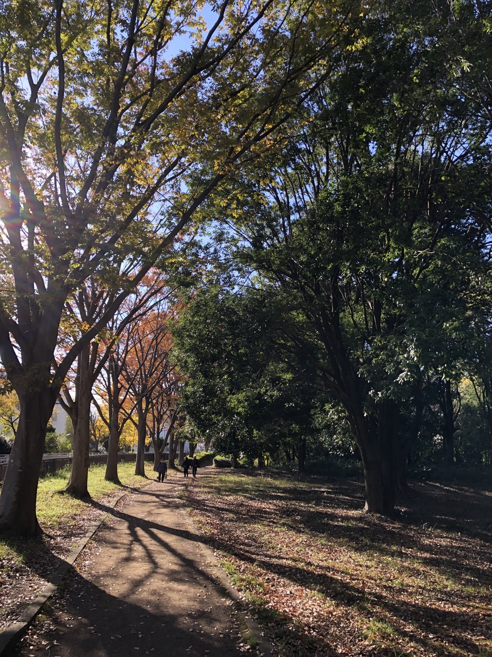神奈川県立四季の森公園周遊コースの写真4